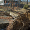 01-28-09 Ice Storm Damage