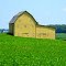 Yellow Barn