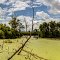 Marsh from Tallgrass Trail