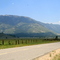 Diamond Valley Rd looking west