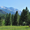 Sierra Nevada Mountains in Late Spring