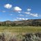 Carson River Pasture