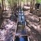Sheep water trough