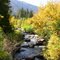 Carson River