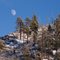 Moonrise Near Woodfords