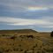 Windfarm far and beyond