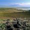 Alder Ridge Vineyards at Horse Heaven Hills