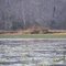 Duck Blind at Crazy Doe, Beech Lake