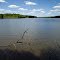 Pin Oak Lake