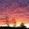 January Sunrise