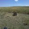 South Stevens Near Bentonite Gate