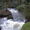 Noyer Creek