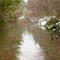 Water from heavy rains cover Cazadero Trail