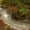 Noyer Creek and a small falls [Wide Angle]