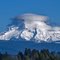 Mt. Hood as seen from Iseli Nursery
