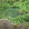 green pond and moss on rocks