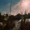 Mendota Morning