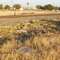 Watertank Footings along the Southern Pacific Railroad (View Easterly)
