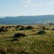 The Mattawa Boulder Field