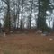 Confederate Fort outside Macon, Ga.