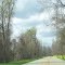 Lower Poplar Street, MACON