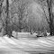Arnold Cemetery, Houndsville Road, Malone NY
