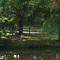 Whitpain Farm Pond, September 13, 2007