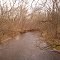 Wissahickon Valley Watershed Association