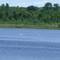 Bar Lake from Marcela`s House