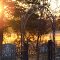 Dilton Cemetery at Sunset