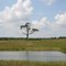 McComb, Lonely Tree