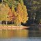 Edgewood Lake in the Fall, McComb Mississippi