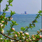 Mackinaw Island Light
