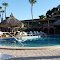 La piscine du Tahitian Inn Motel à Tampa en Floride