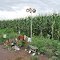 Buddy Holly/Richie Valens/Big Bopper Crash Site Memorials