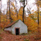 Heidelberg 22/24: on the trail down from weißer Stein to Schriesheim