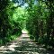 County Road 4025