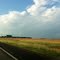 Pretty Fields of Itasca, Texas