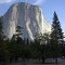 More Beauty at Yosemite National Park