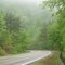 Skyline (Talimena) Scenic Dr. in the rain
