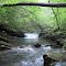 Little Brushy Creek
