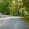 2012_10-10_Ouachita National Forest_P1050758_Arkansas 375