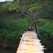 Brücke in PNG