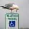 Reserved parking