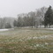 Dorothy's Snowday