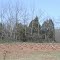 TN-TACF Backcross Orchard, Knox County, TN