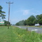 Blue Crow Antiques