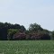 Virginia's Beauty