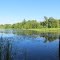 Spring Lake in summer (Bear Creek, MI)
