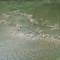 Medina Creek